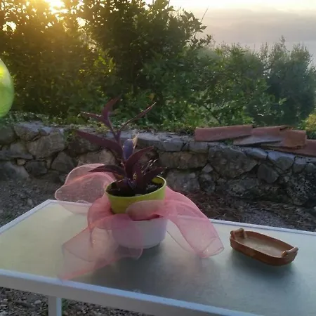 Agrestis Domus Country house San Giovanni a Piro