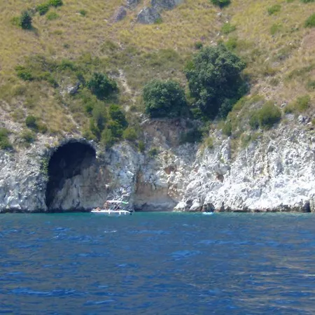Agrestis Domus