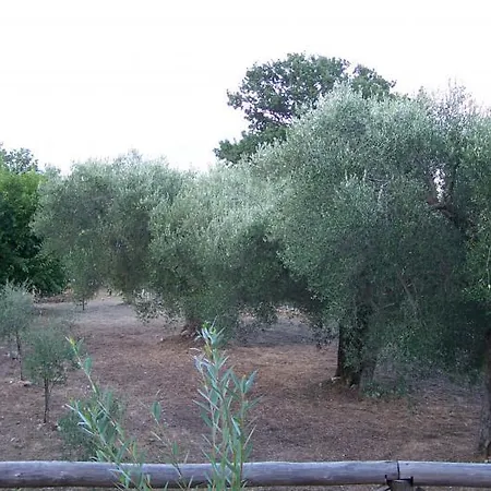 Agrestis Domus * San Giovanni a Piro