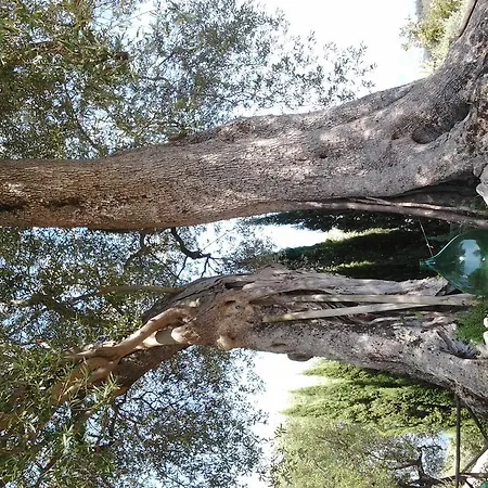 Agrestis Domus San Giovanni a Piro