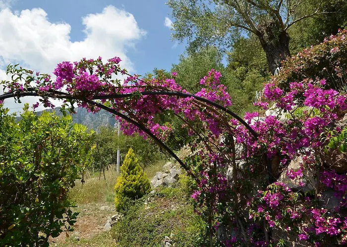 Agrestis Domus Casa rural